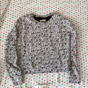 Hollister Sweater